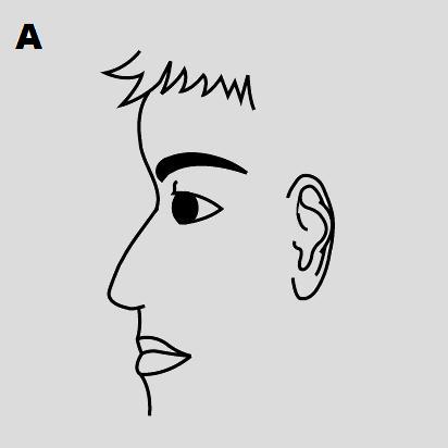 prominent forehead face reading